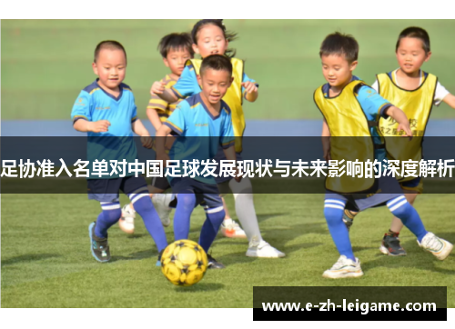 足协准入名单对中国足球发展现状与未来影响的深度解析