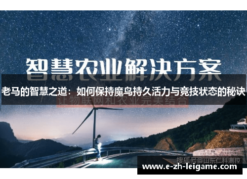 老马的智慧之道:如何保持魔鸟持久活力与竞技状态的秘诀 老马的智慧之道:如何保持魔鸟持久活力与竞技状态的秘诀